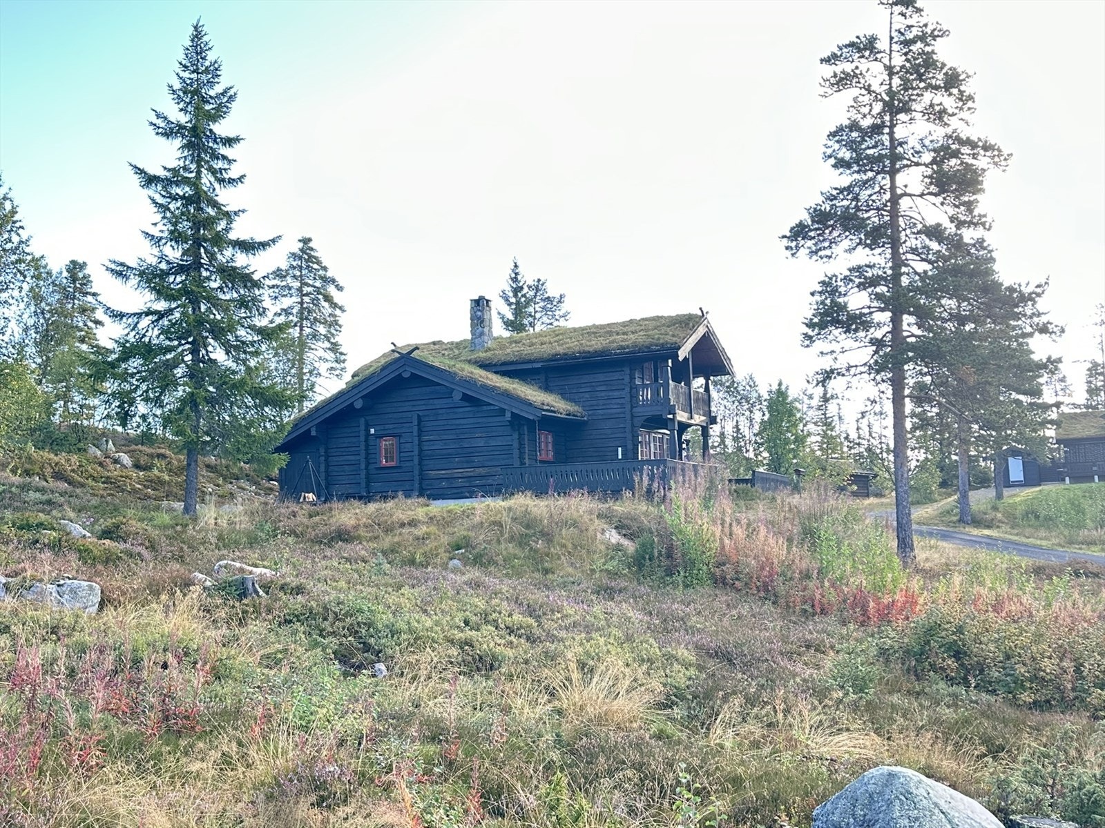 Selgers private bilder! Galleribilde