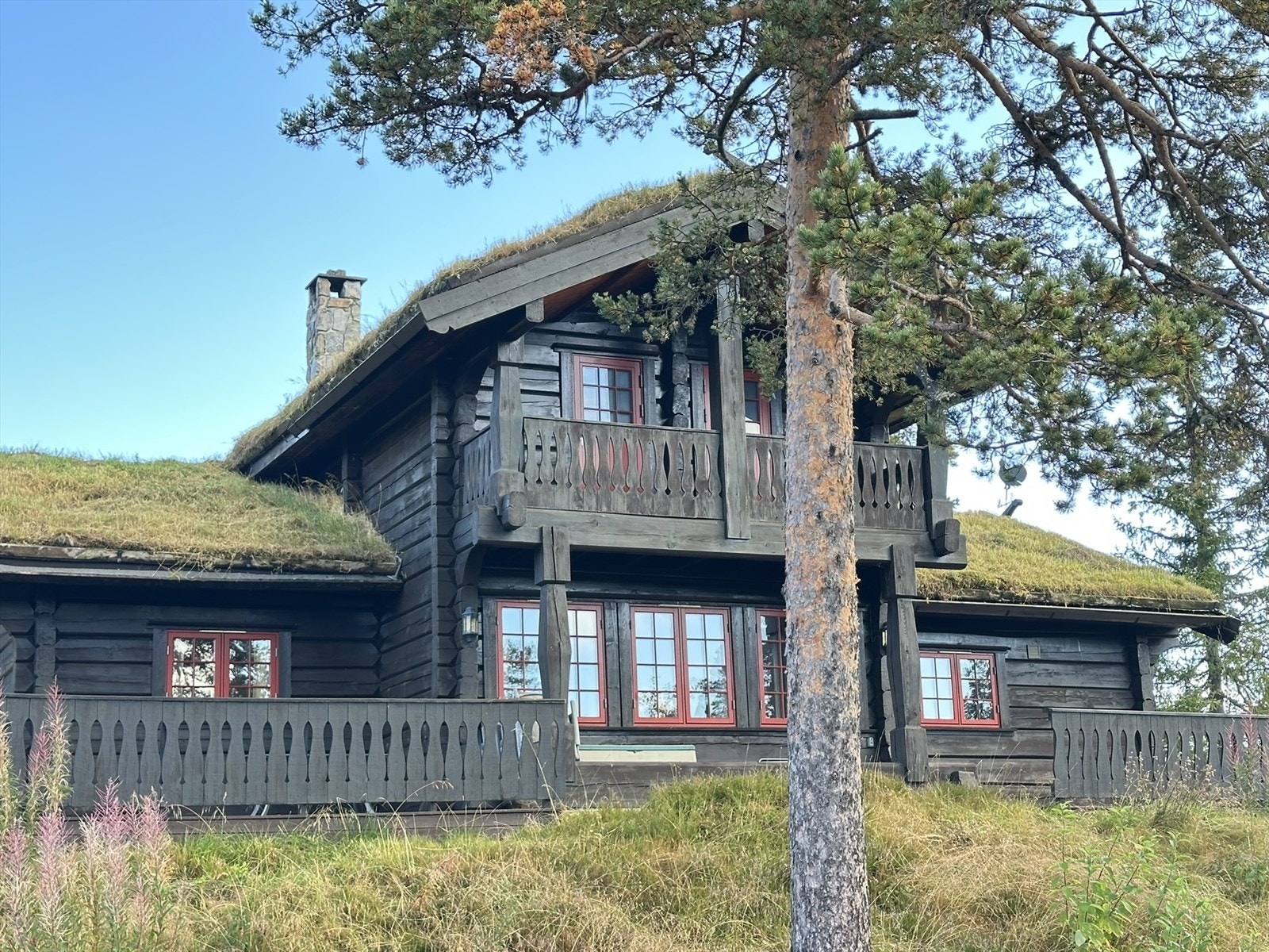 Selgers private bilder! Galleribilde