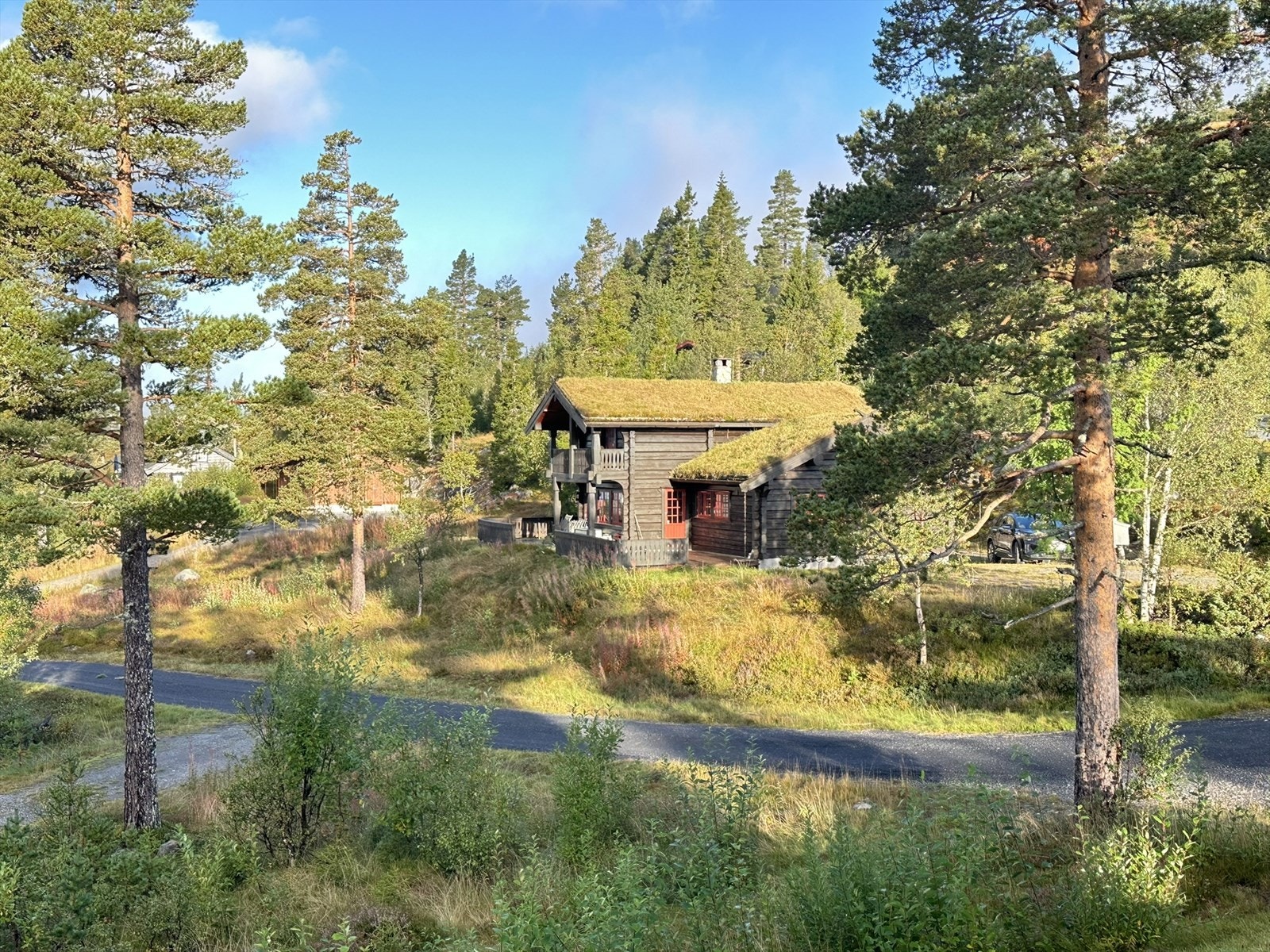 Selgers private bilder! Galleribilde