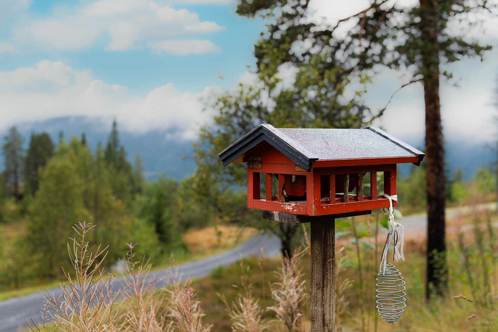 Området har et rikt dyr og fugleliv, flott bær- og turterreng for alle aldre, samt idylliske bademuligheter. Galleribilde