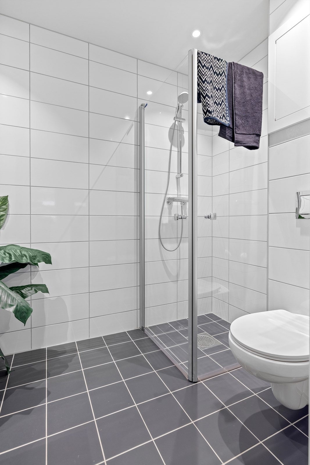 Vegghengt toalett med skjult sisterne og egen dusjsone med glassdører Galleribilde