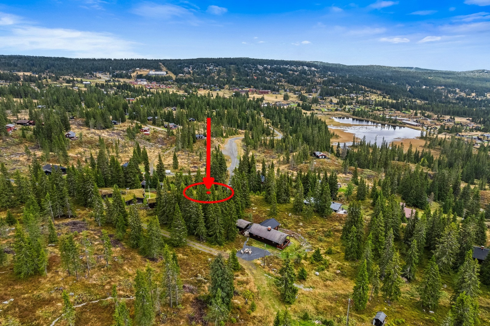 Fint beliggende hyttetomt, i nedre delen av Grøtåshaugen. Galleribilde