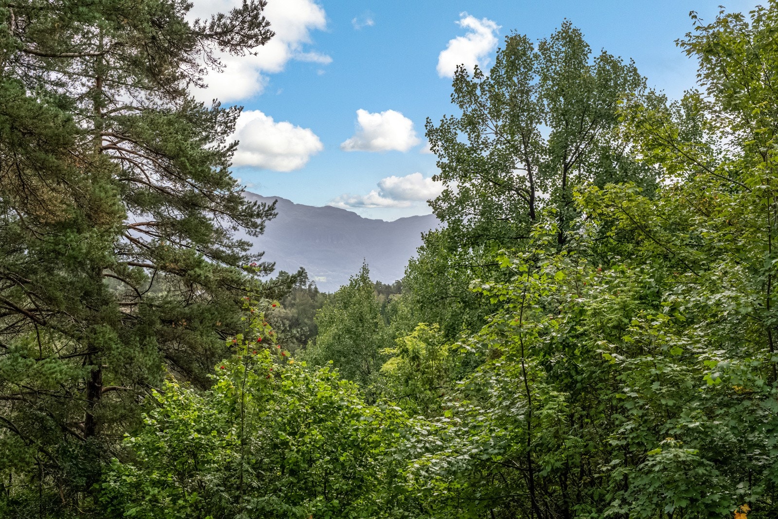 Her får du en hytte hvor du kan finne roen. Galleribilde