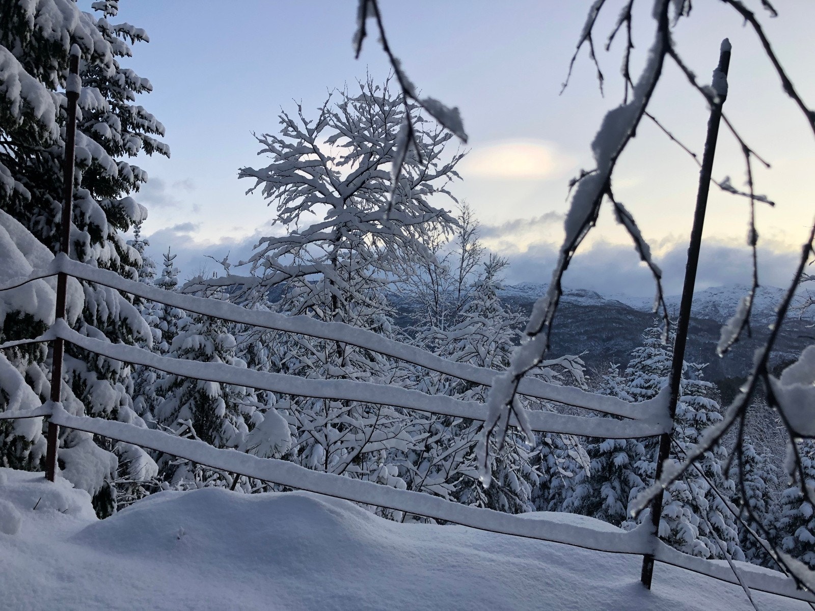 Herlige blinkskudd fra hytteparadiset. Galleribilde