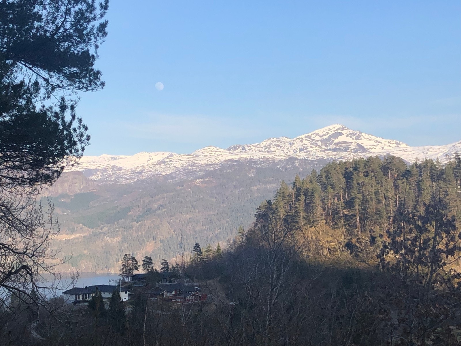 Herlig fjellutsikt. Galleribilde