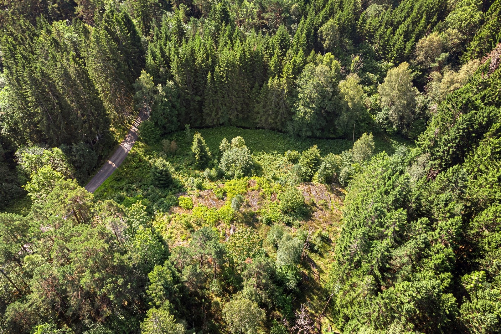 Tomten sett ovenfra. Galleribilde