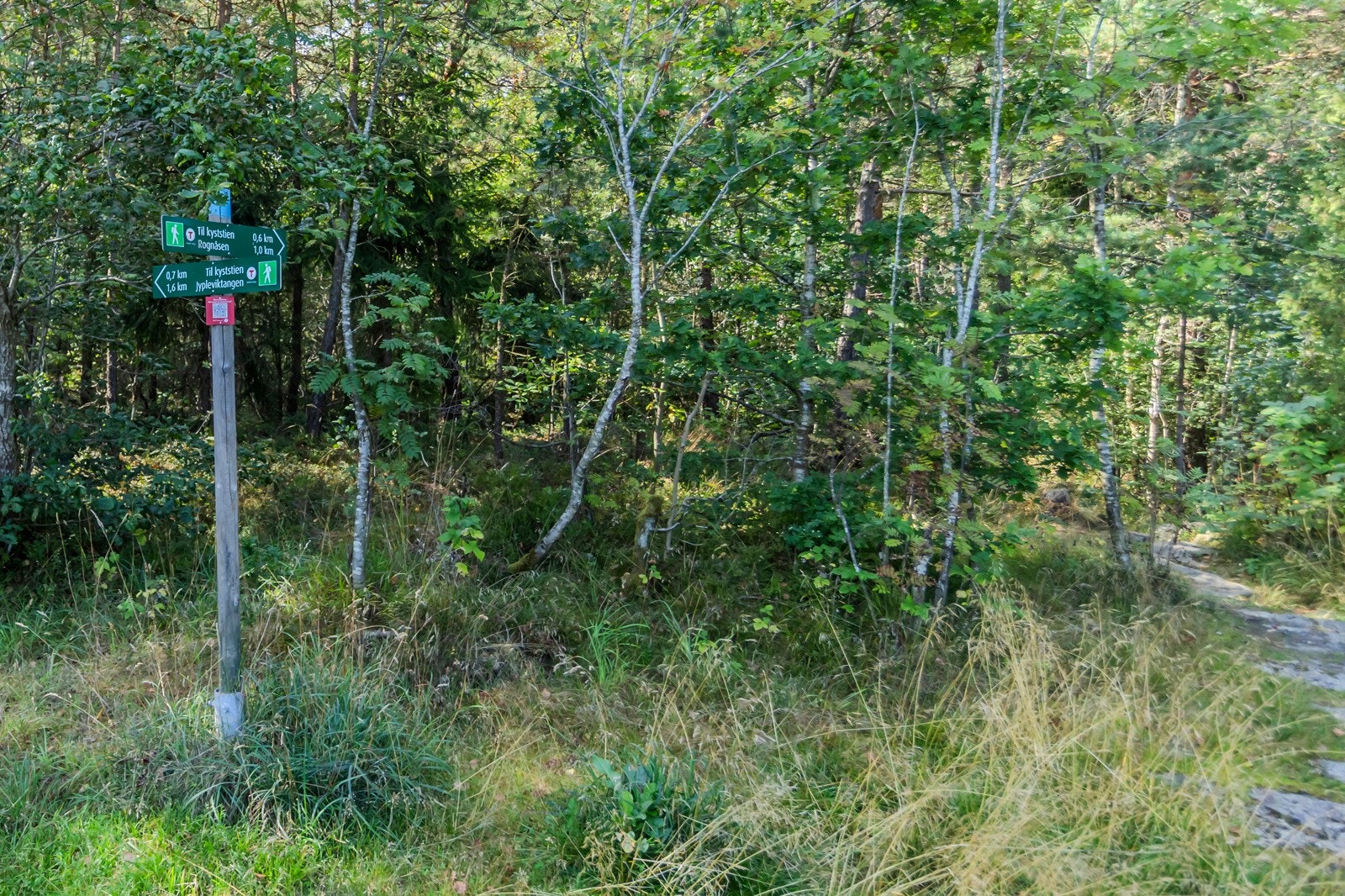 Stivalg i området rett ved eiendommen som selges. Galleribilde