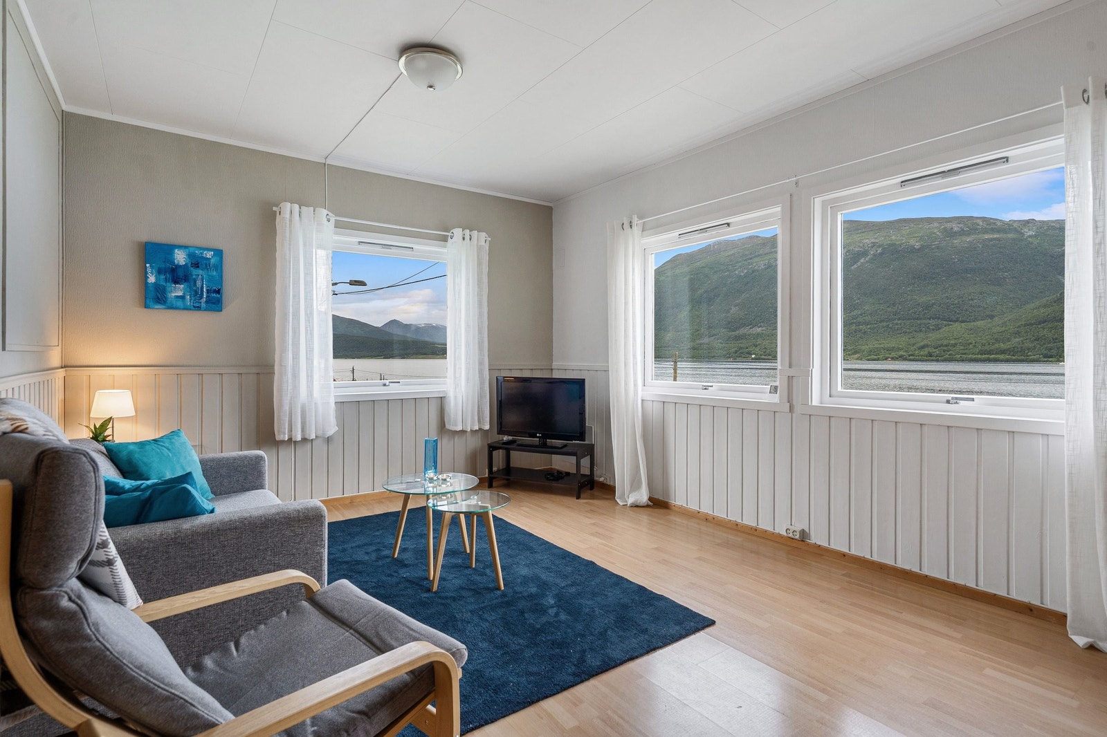 Tv-stue Galleribilde