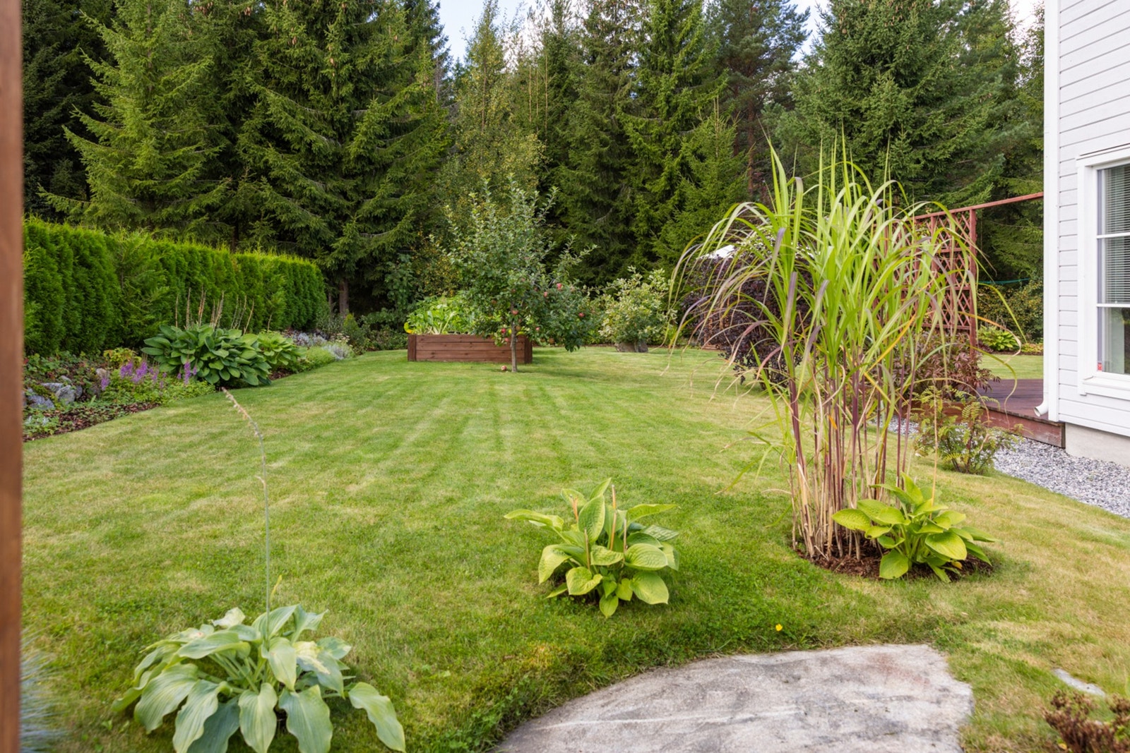 Hekken står på nabotomten og skiller eiendommene fint. Galleribilde