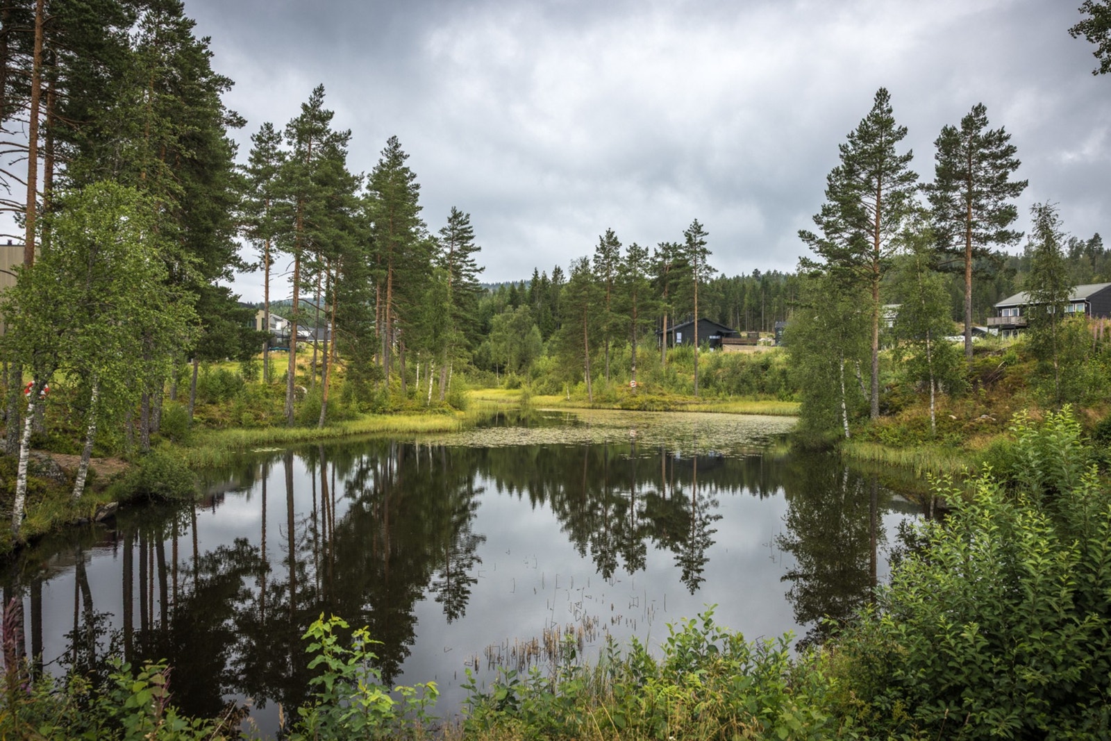 Ramstaddammen - idyllisk rekreasjonsområde 3-400 meter fra huset. Galleribilde