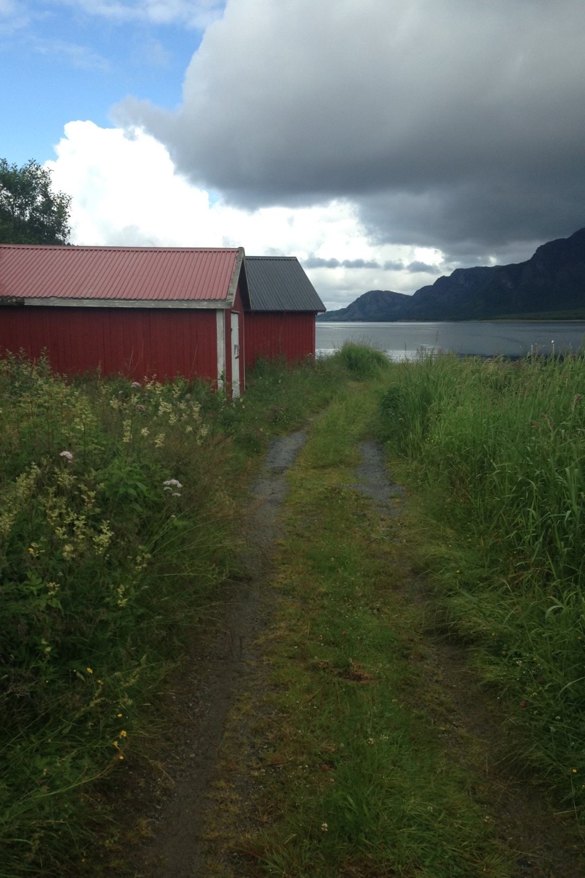 Ved naust Galleribilde