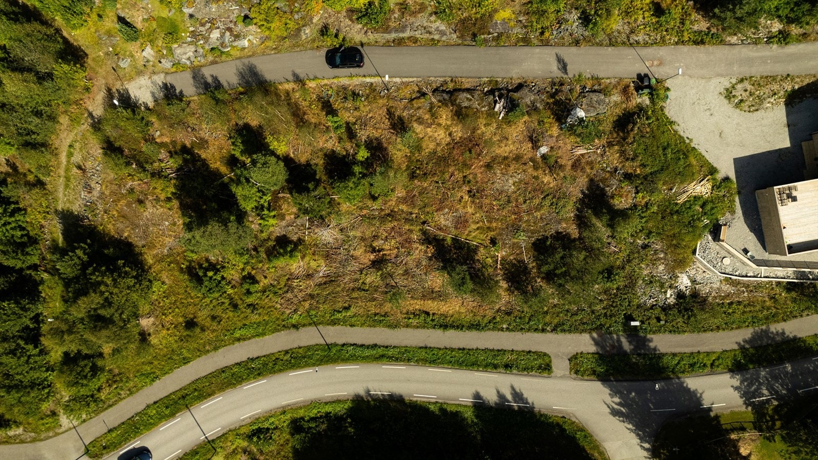 Oversiktsbilde. Galleribilde