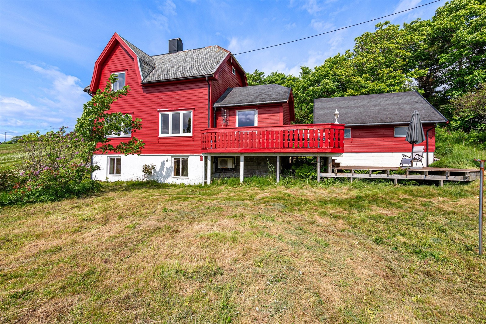 Stor hage med mange muligheter. Galleribilde