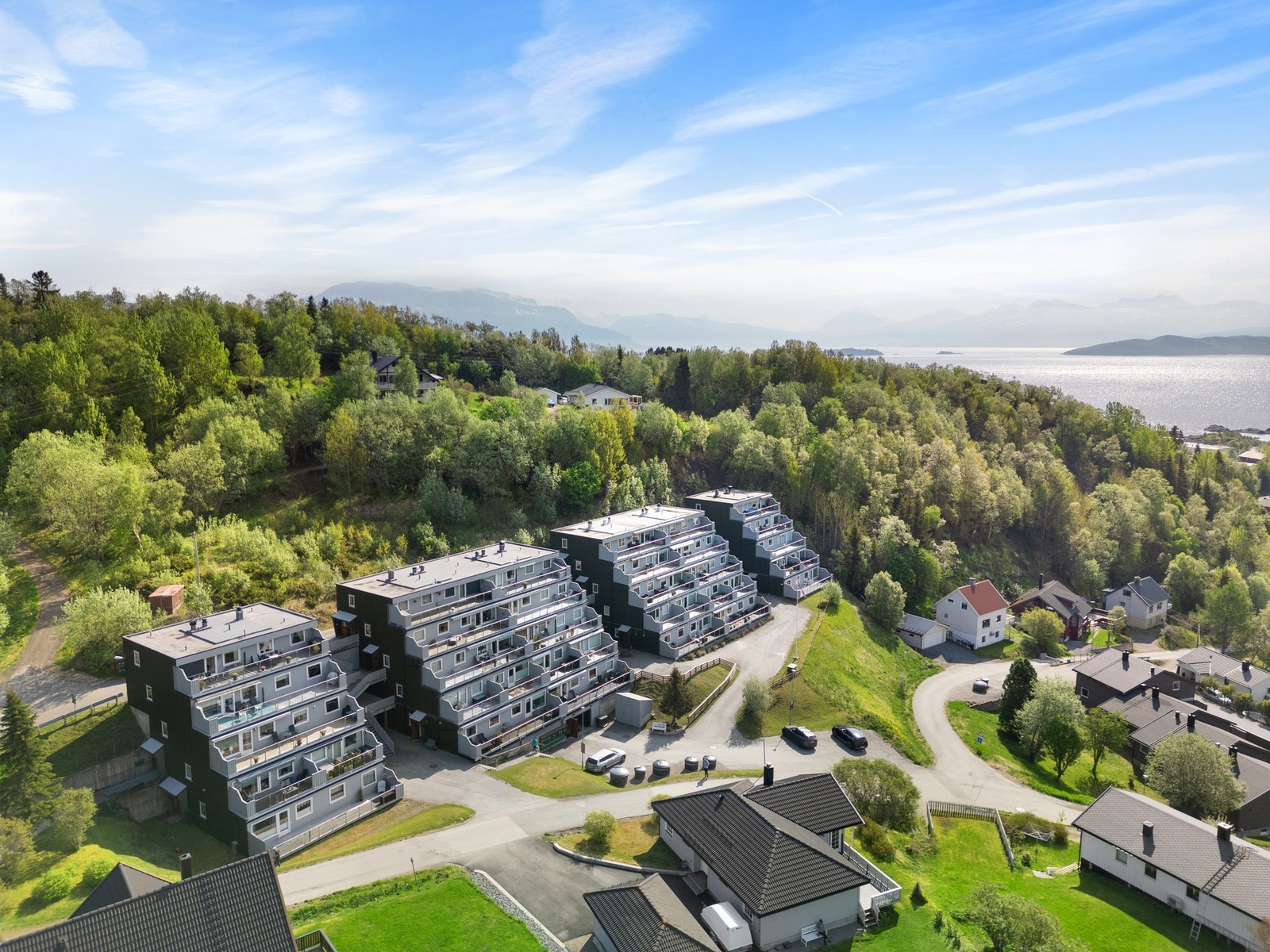 Velkommen til en trivelig visning! Galleribilde