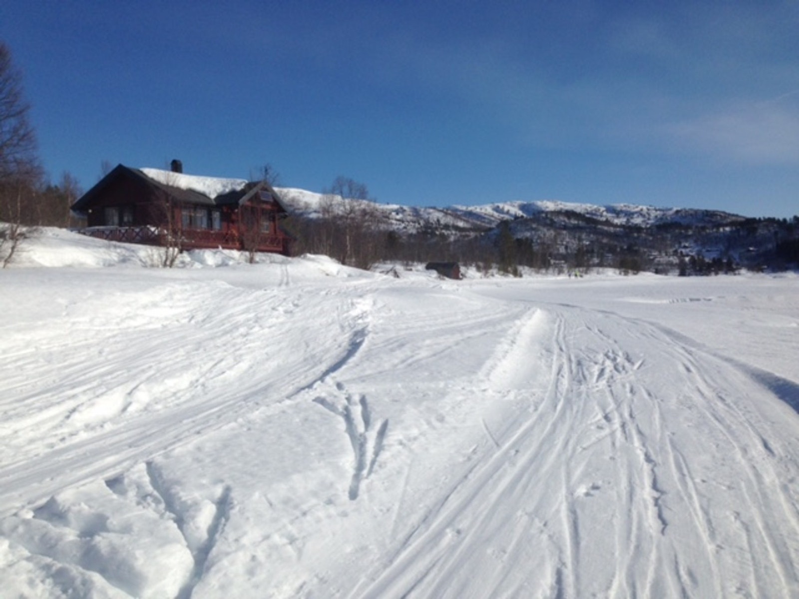 Bilde fra selger. Galleribilde