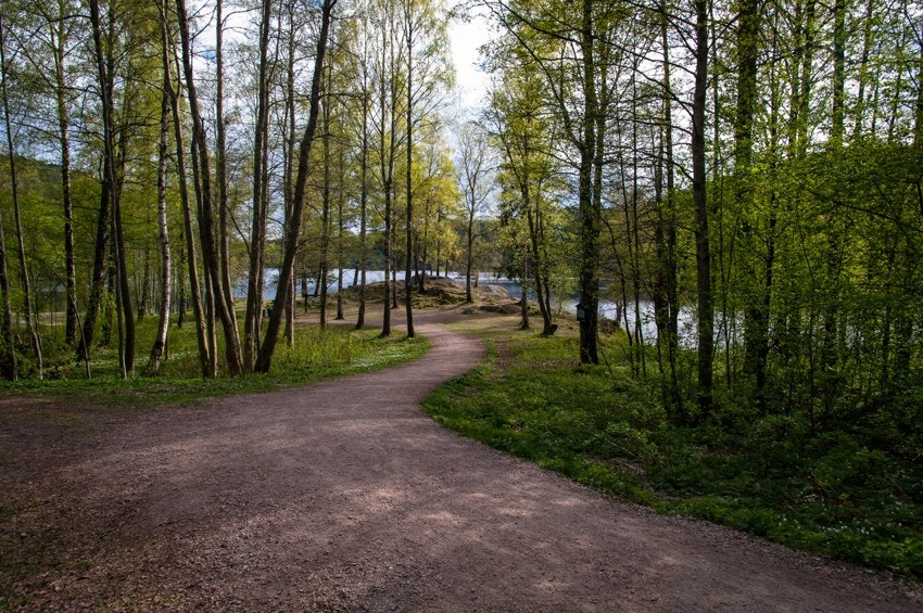 Skal du ut på tur, er det kort vei til flotte turveier inn mot Lutvann Galleribilde