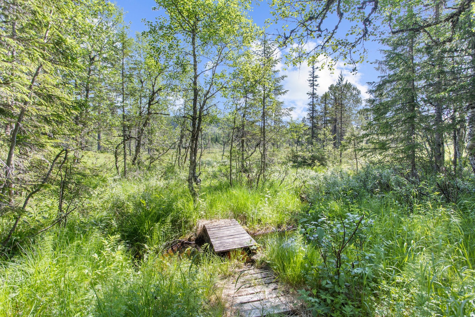 Ca 500 meter gange sommerstid, ca 200 meter på vinter Galleribilde