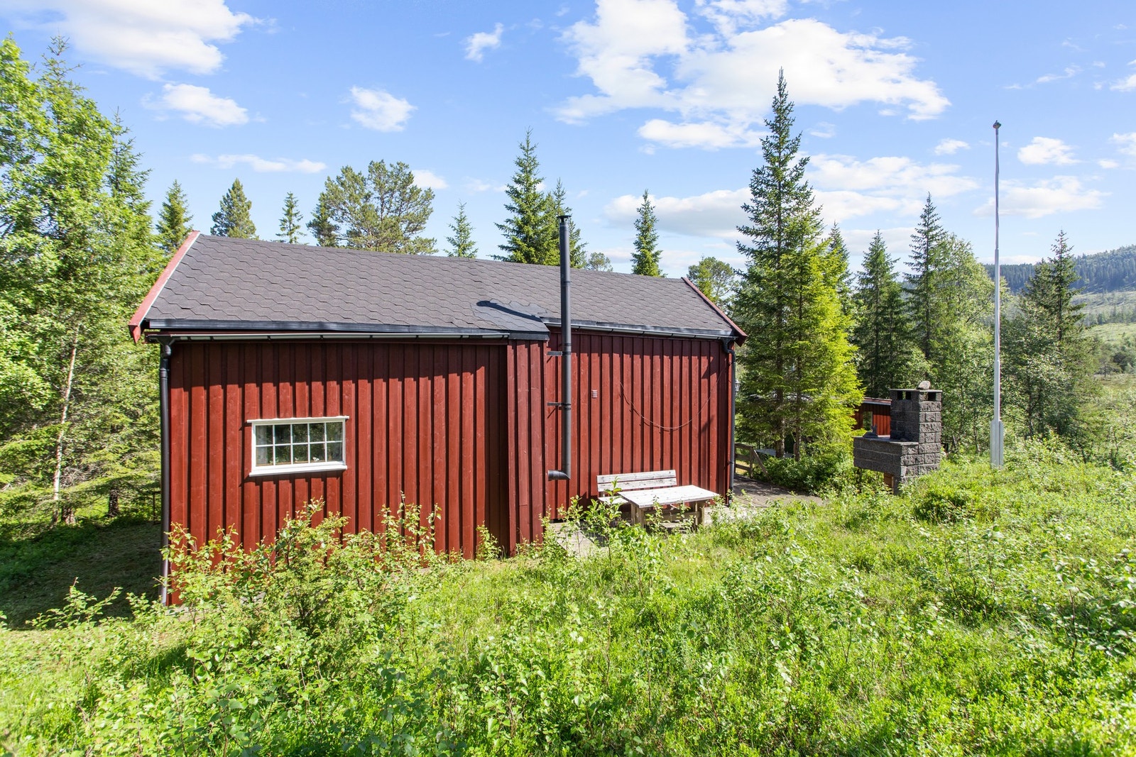 Naturtomt rundt hytta Galleribilde