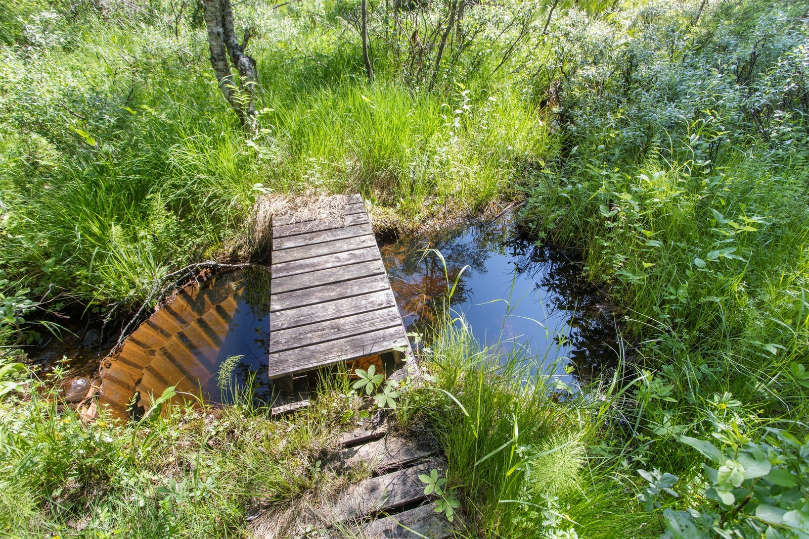 Demning som benyttes for å hente vann til pumpe. Det er en pumpe som starter automatisk når du skrur på kranen og stopper automatisk når du stenger kranen. Galleribilde