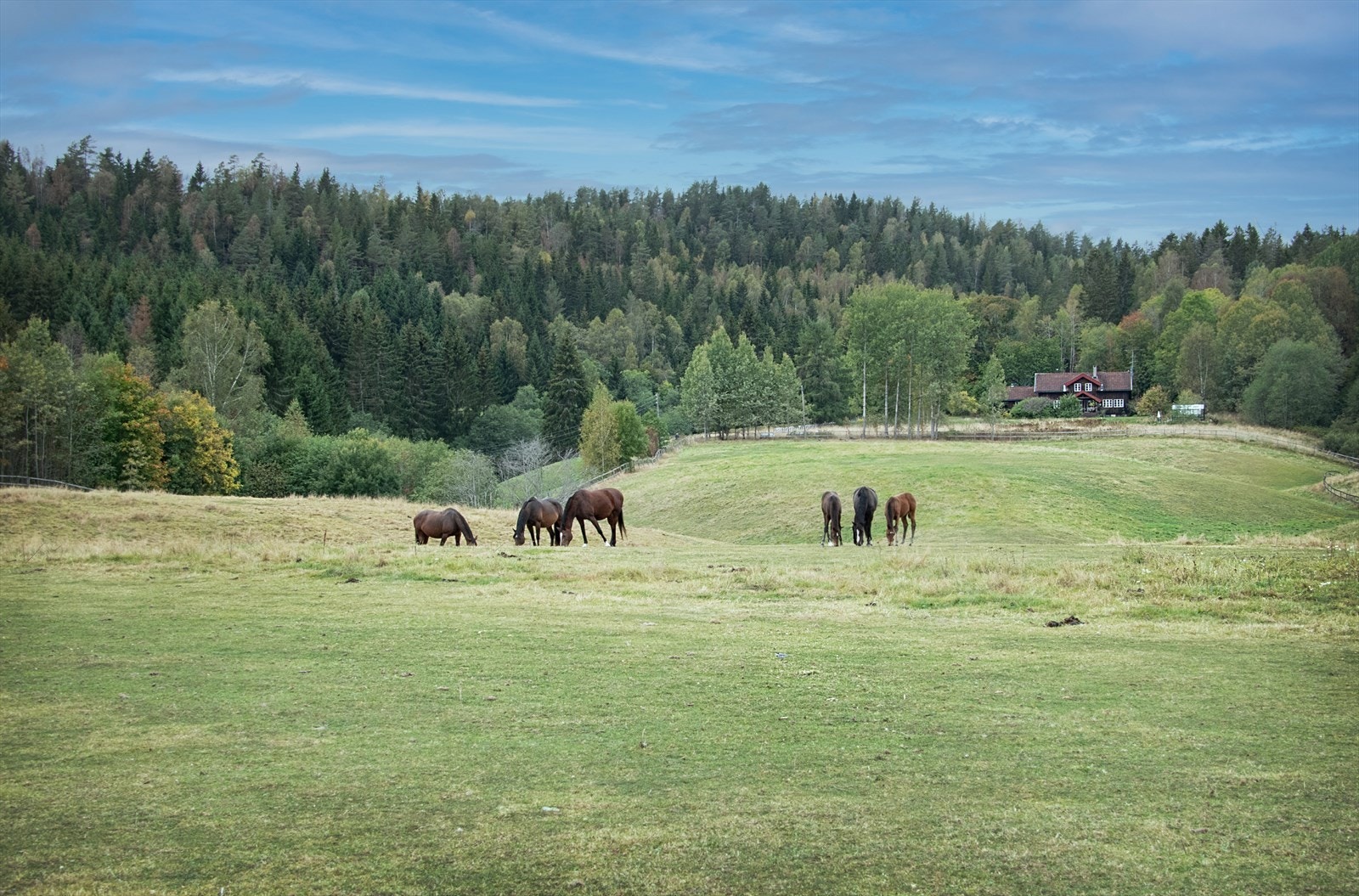 Områdebilde Galleribilde