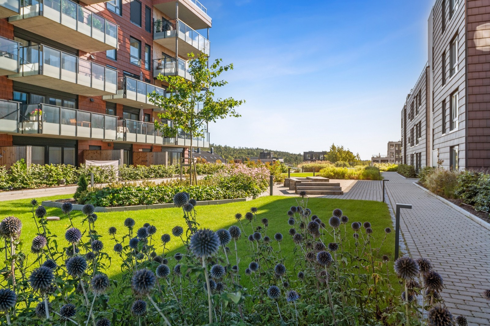 Konnerud Senter Panorama har flotte og grønne fellesarealer - Her fra Atriet på plan 3. Galleribilde