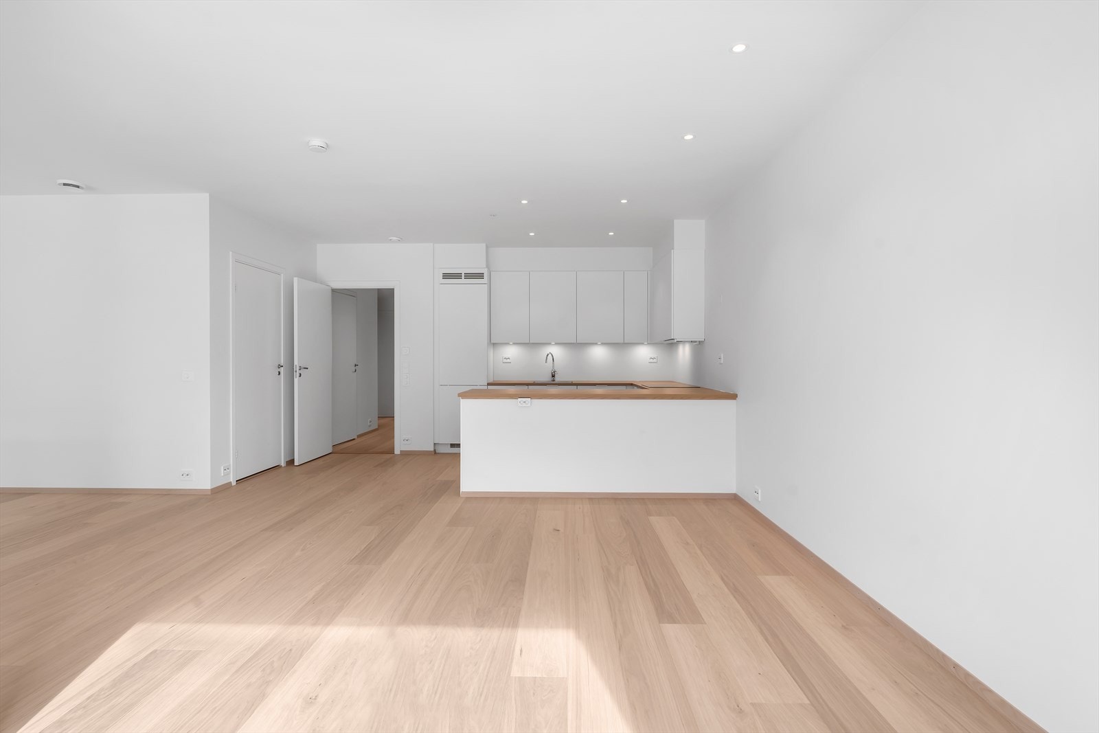 BoligDSC07728-September 09, 2025-0500.jpg Galleribilde