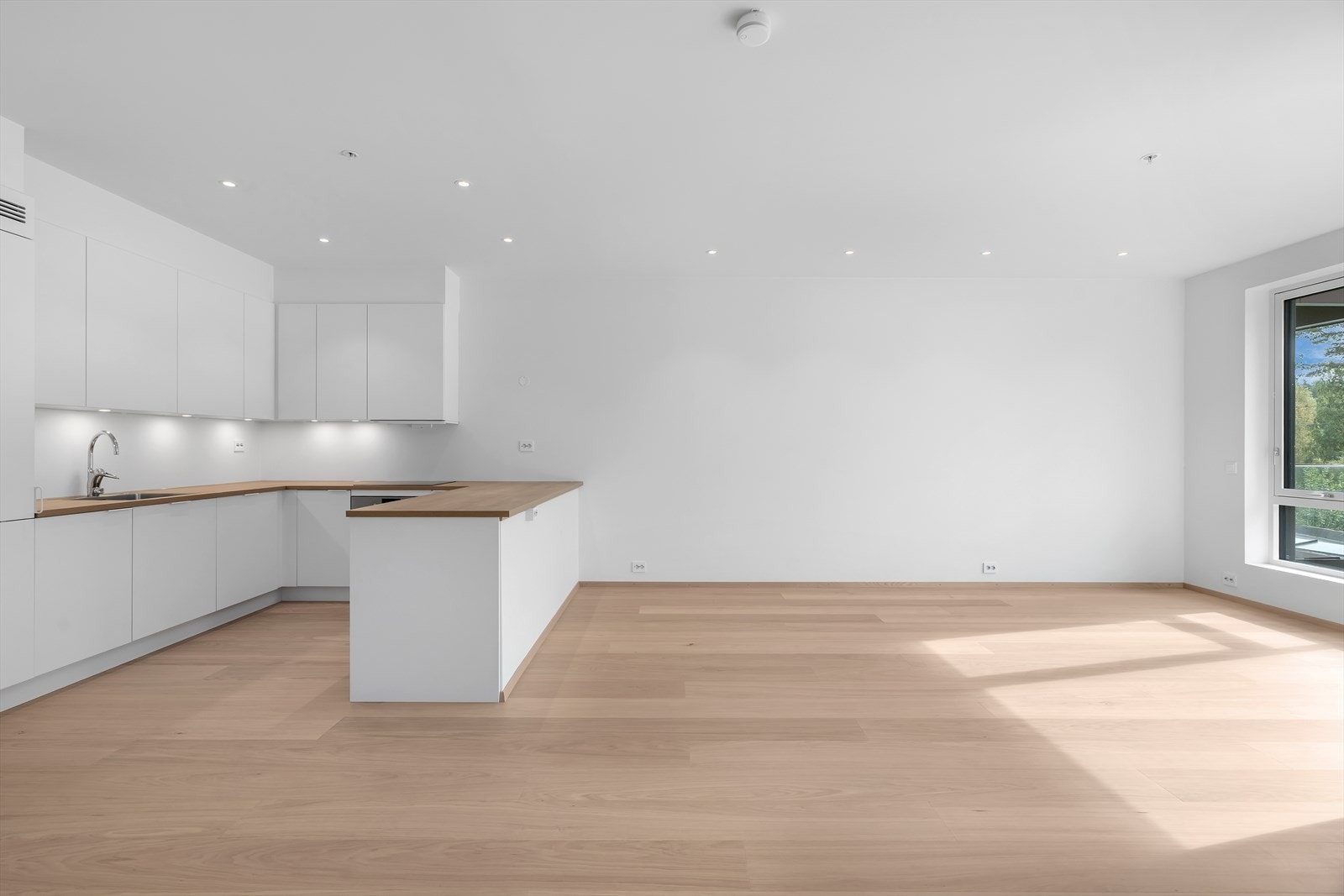 BoligDSC07719-September 09, 2025-0491.jpg Galleribilde