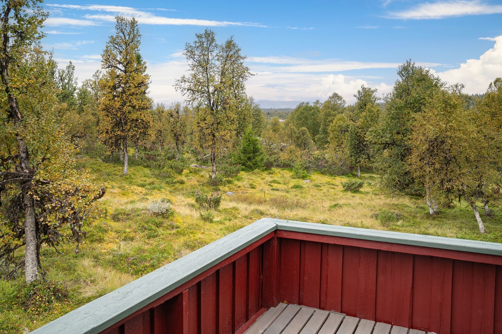 Utsikt fra terrassen mot uberørt natur Galleribilde