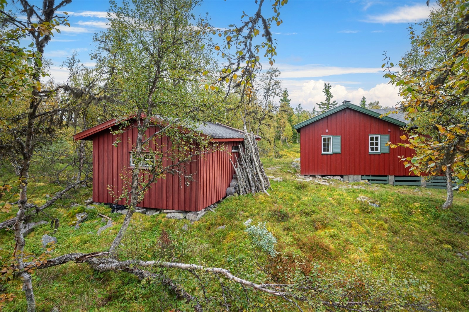 Frittstående uthus Galleribilde