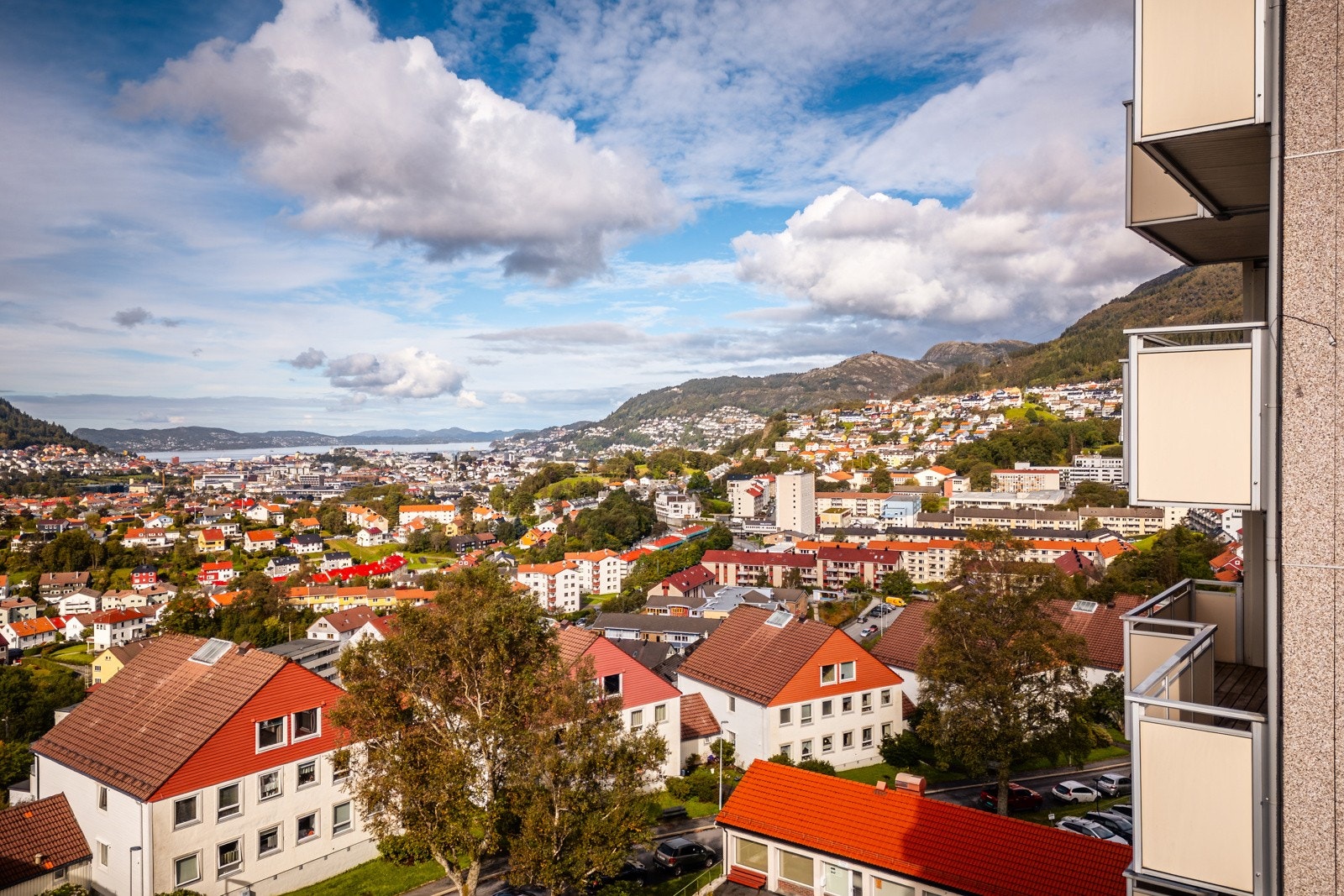 Utsikt Galleribilde