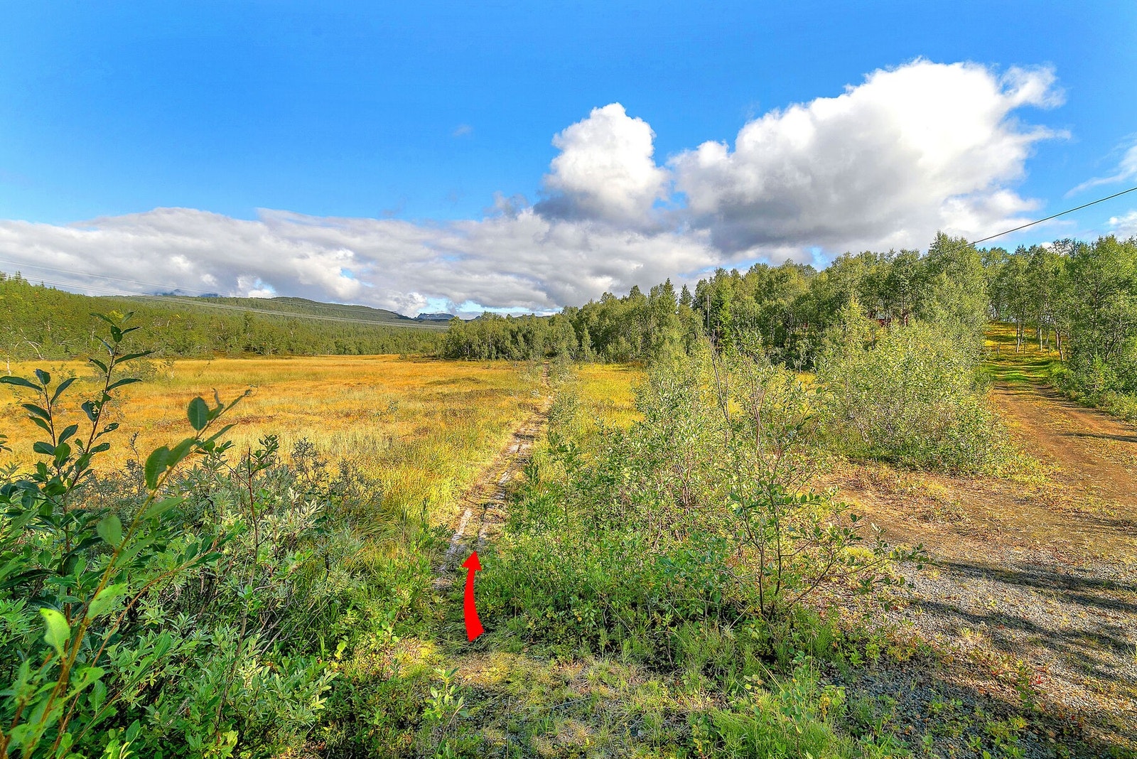 Adkomst med sti til hytta Galleribilde