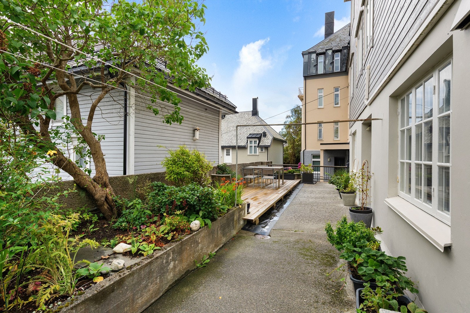 Skjermet bakgård med beplantning. Galleribilde