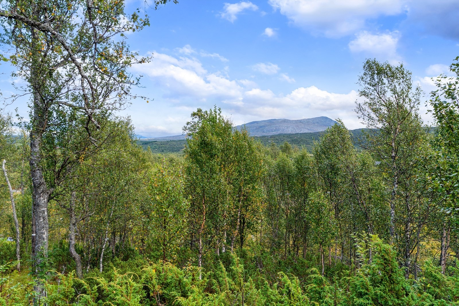 Hytta ligger i nydelige omgivelser, og Stugudal byr på flotte naturforhold året rundt Galleribilde