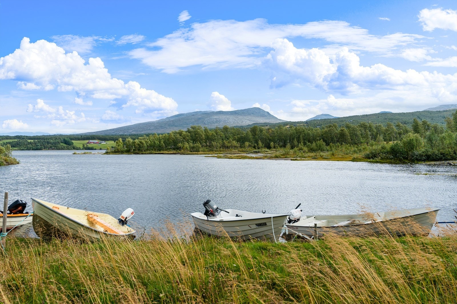 Stugudalen er et nydelig område med ypperlige tur- og rekreasjonsmuligheter året rundt Galleribilde