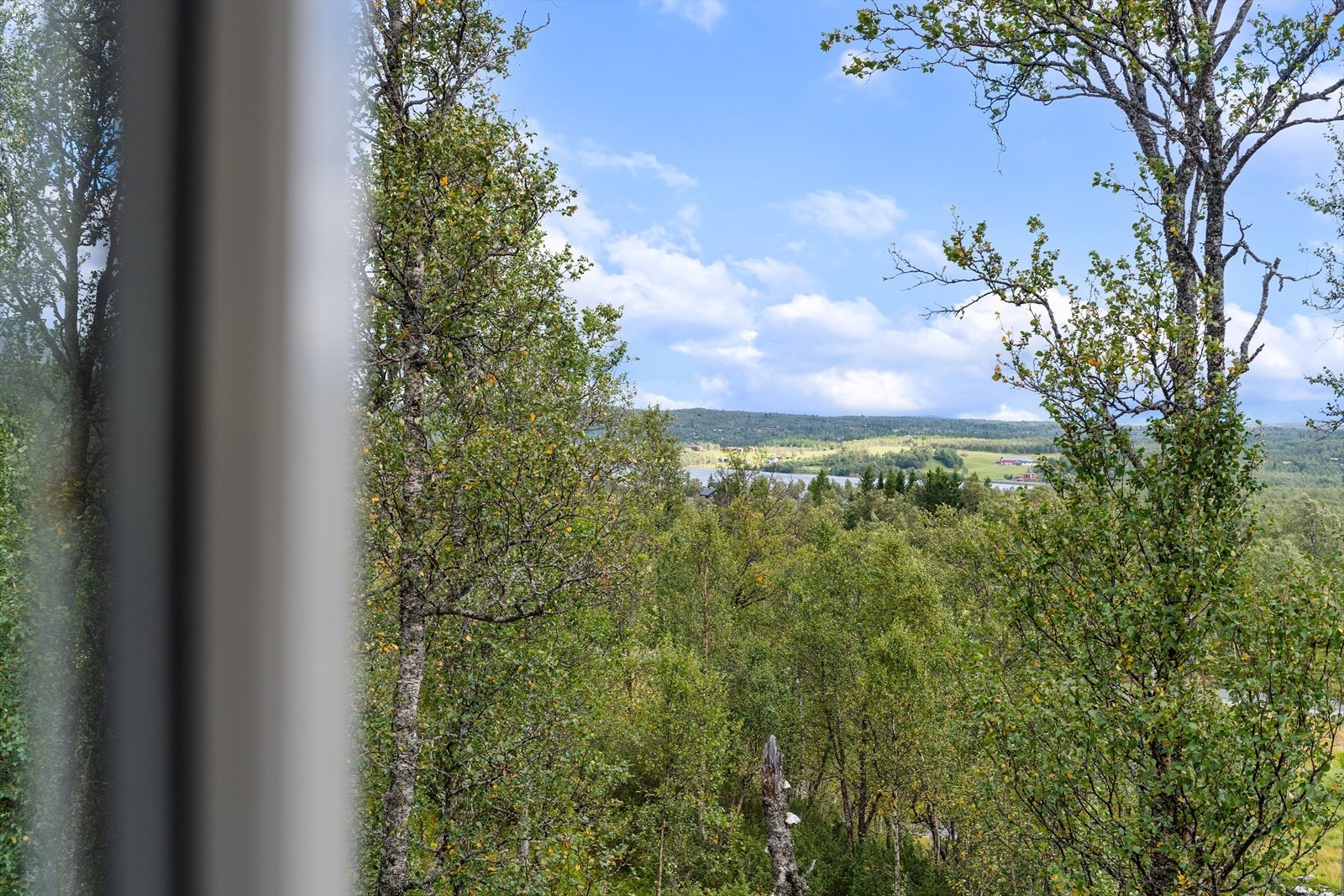Herlig fjellutsikt kan nytes fra flere plasser på eiendommen Galleribilde