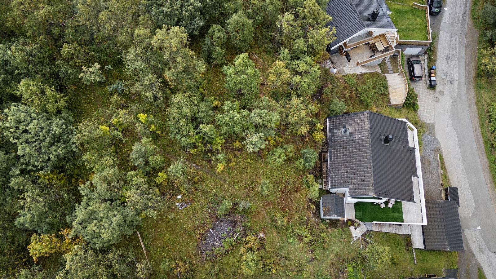 Friarealer med skog og sti rett på baksiden av boligen Galleribilde