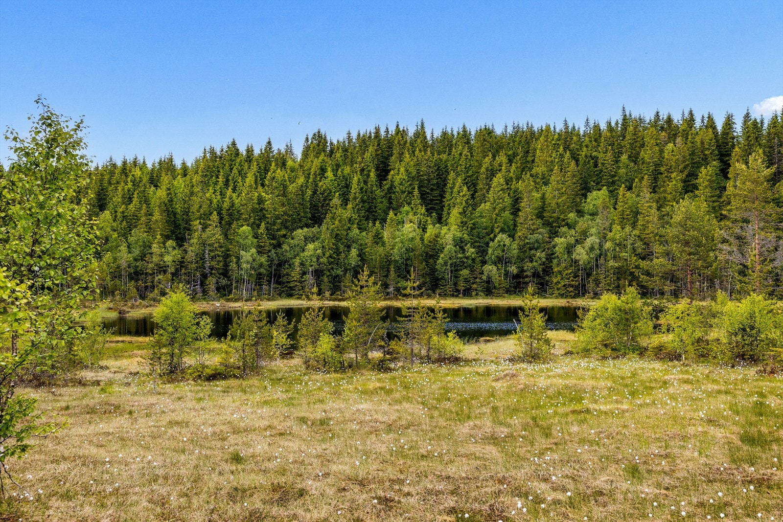 Ett Tjern som ligger rett nedenfor hytta på vei opp til hytta Galleribilde
