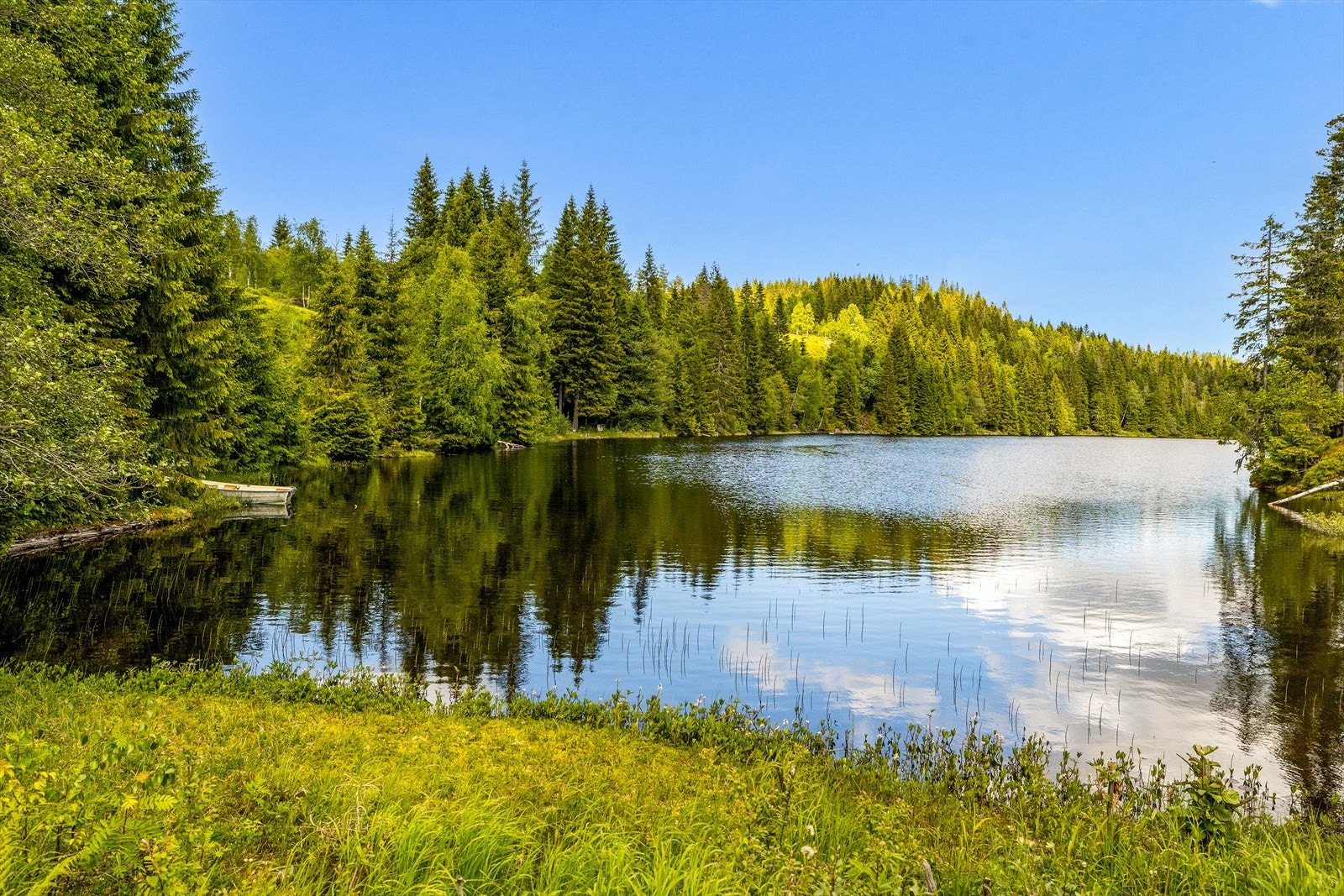 Mulighet for å ha båt i Breivann Galleribilde