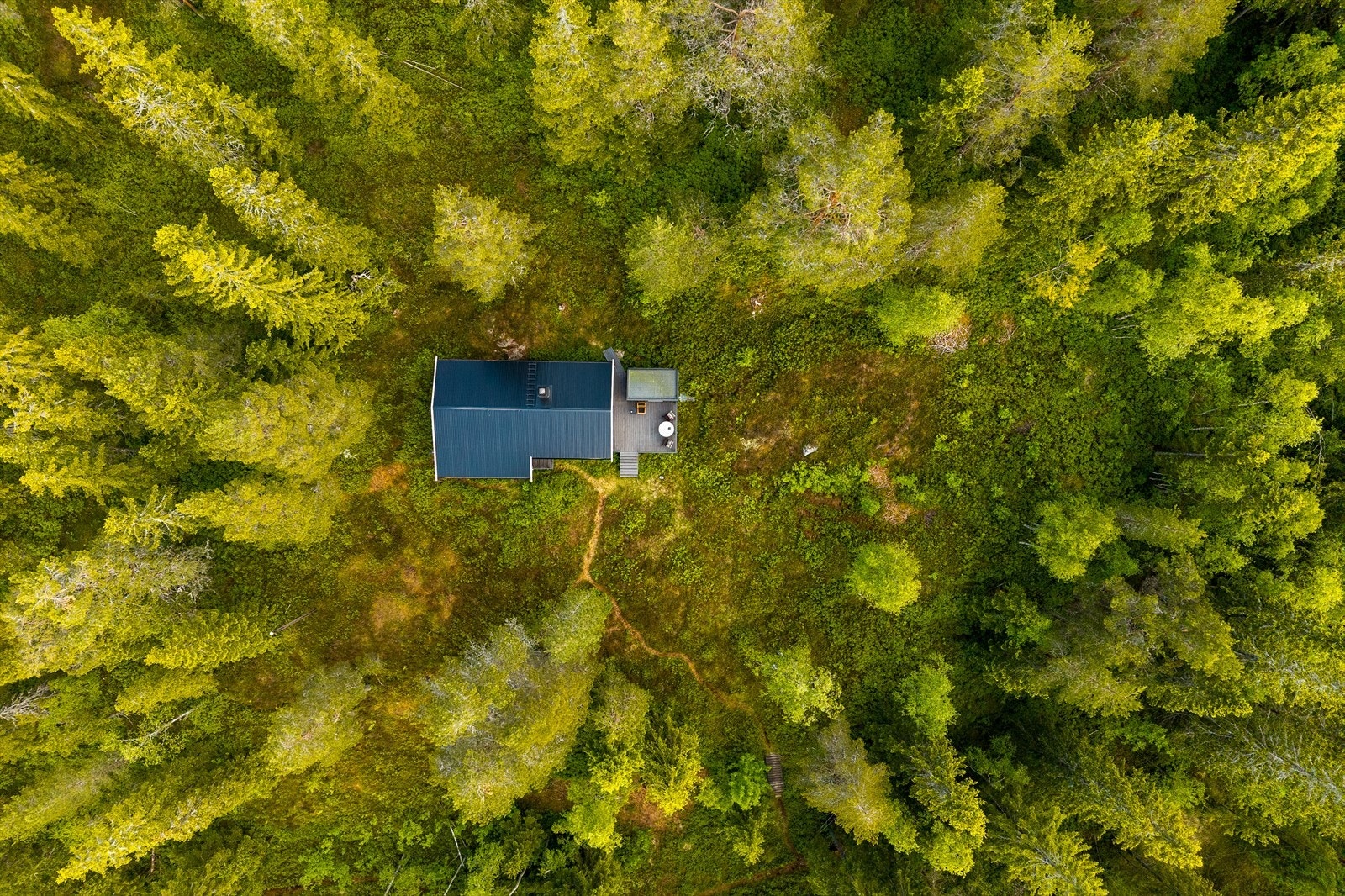 Hytta sett ovenfra Galleribilde