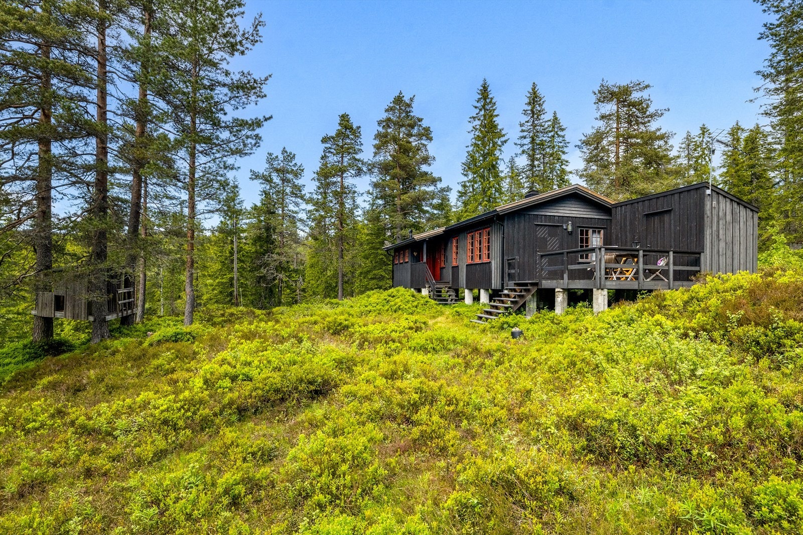 Fasade og tomt Galleribilde