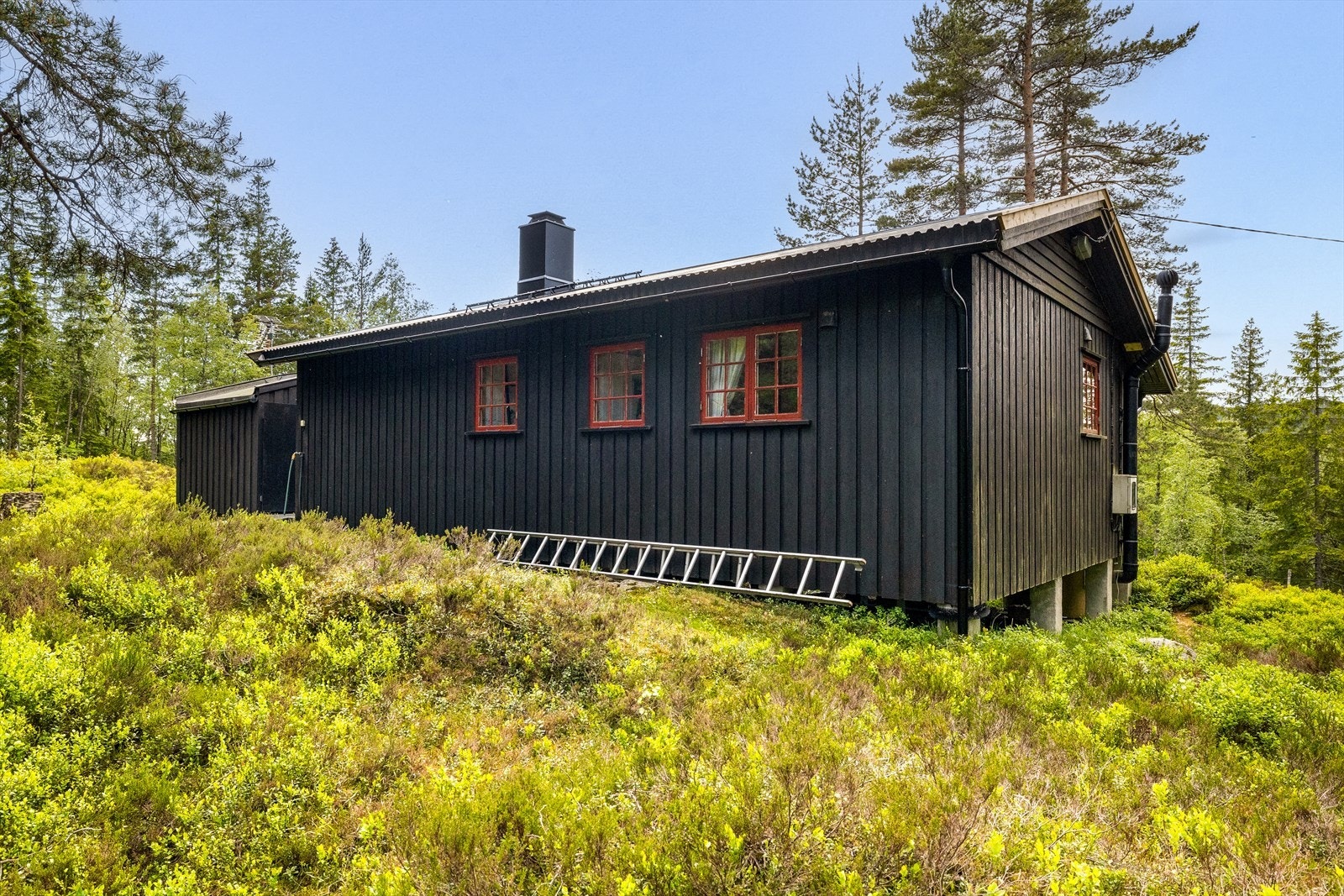 Fasaden bak hytta Galleribilde