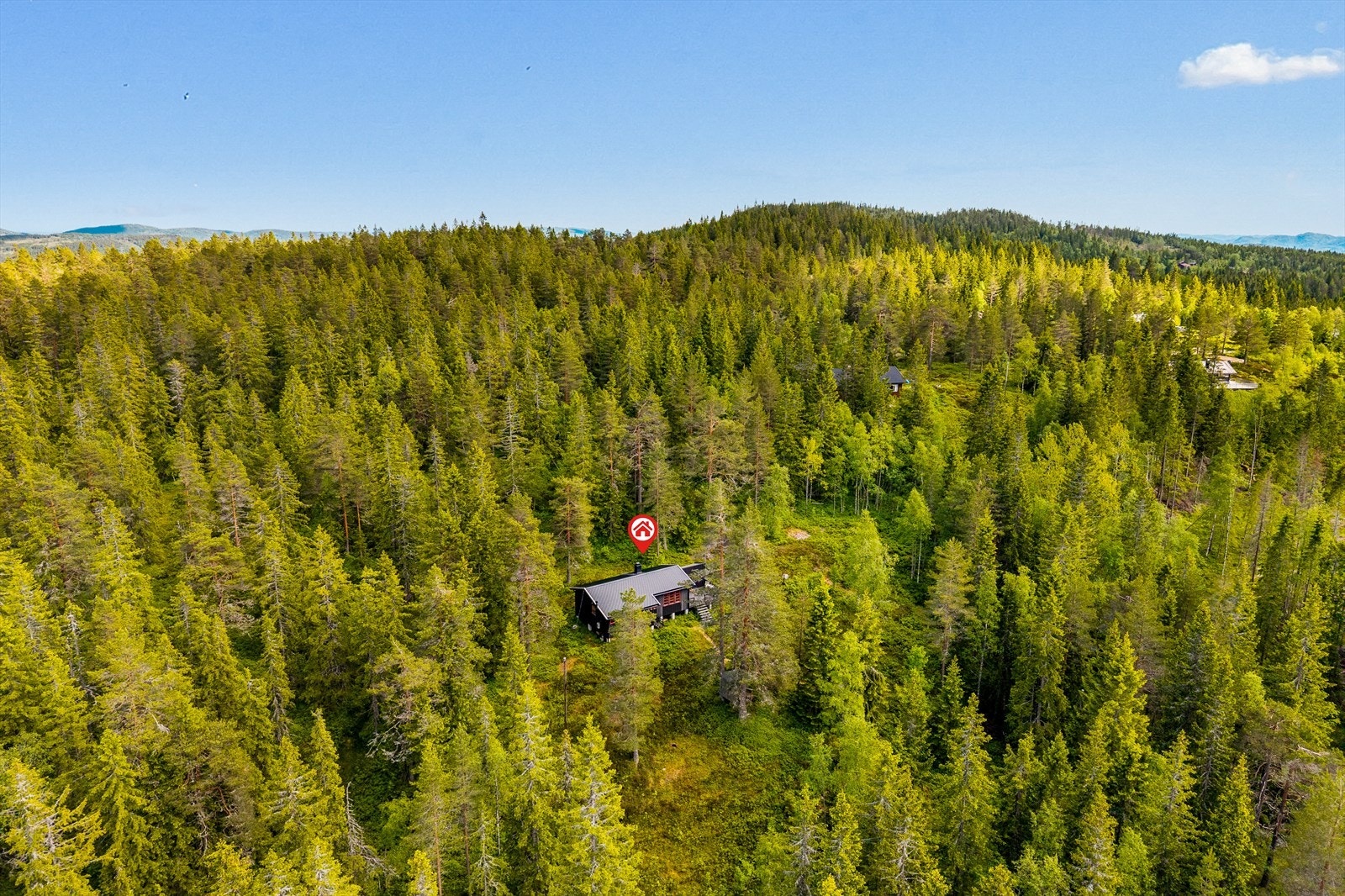 Beliggenhet Galleribilde