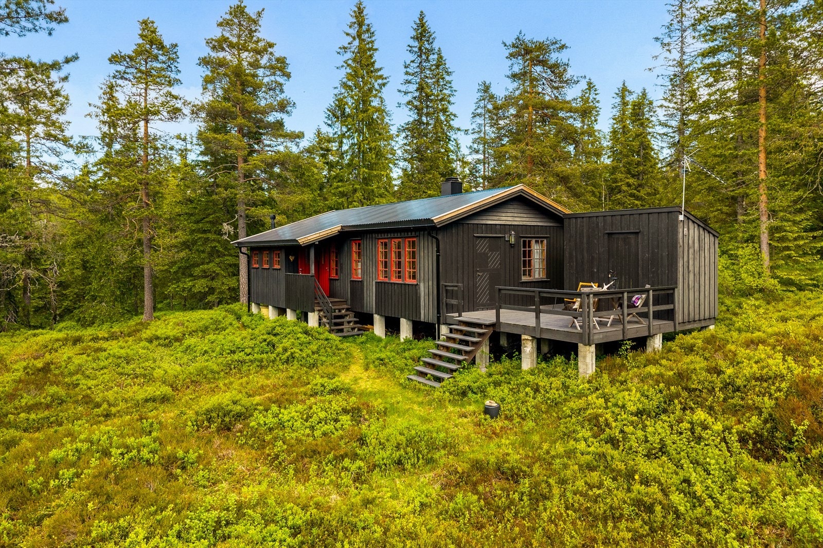 Velkommen til visning Galleribilde