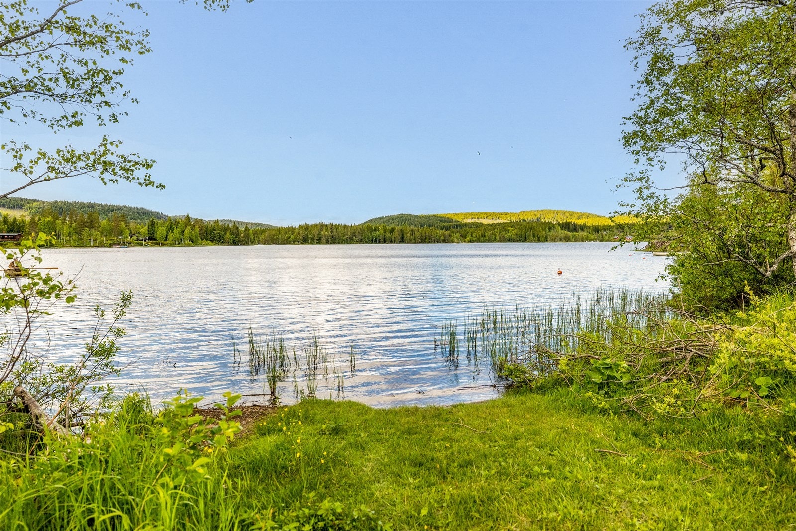 Breivann Galleribilde