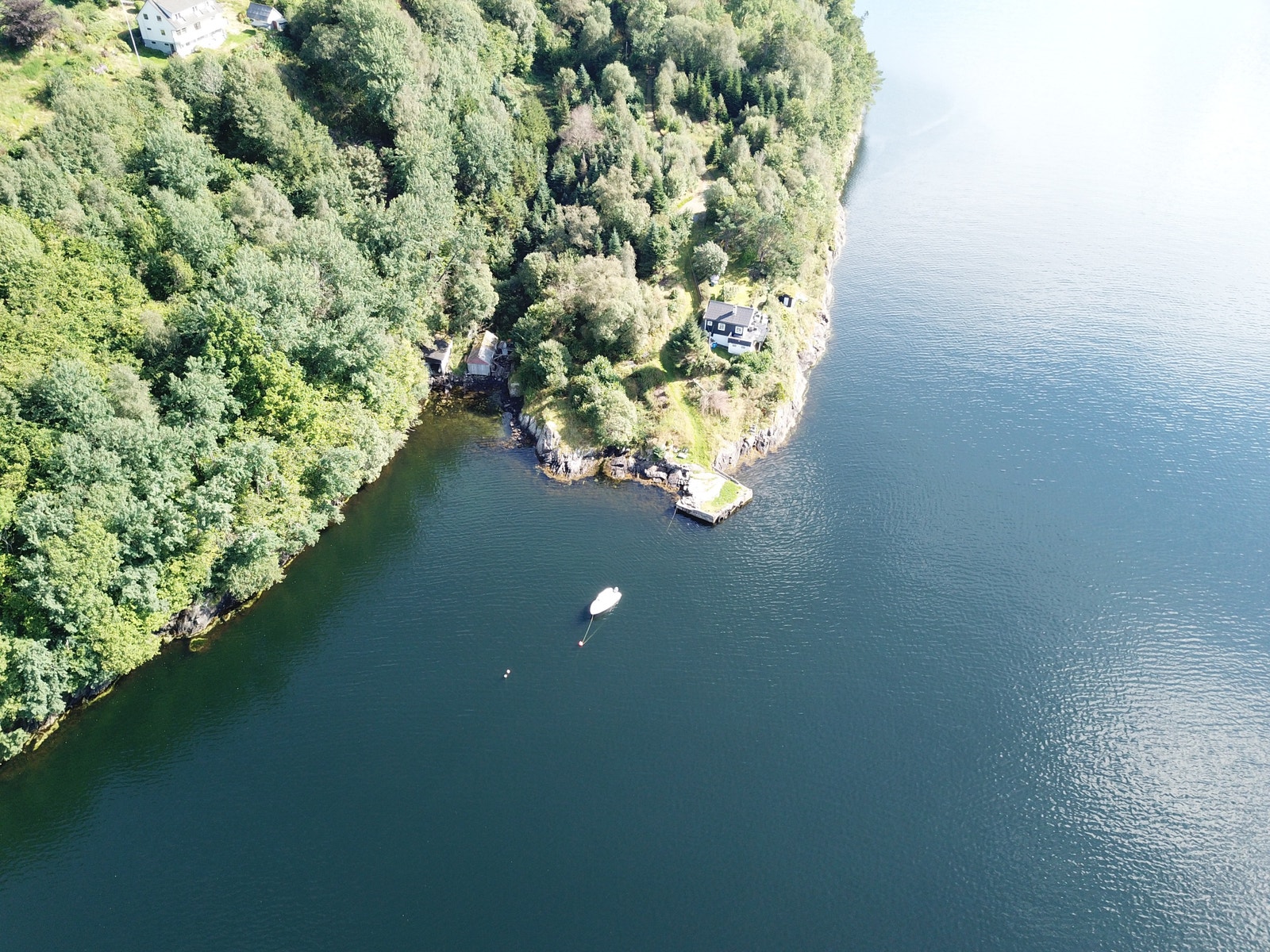 Vei helt ned til sjøen, hvor tomten har båtfesterett. Galleribilde