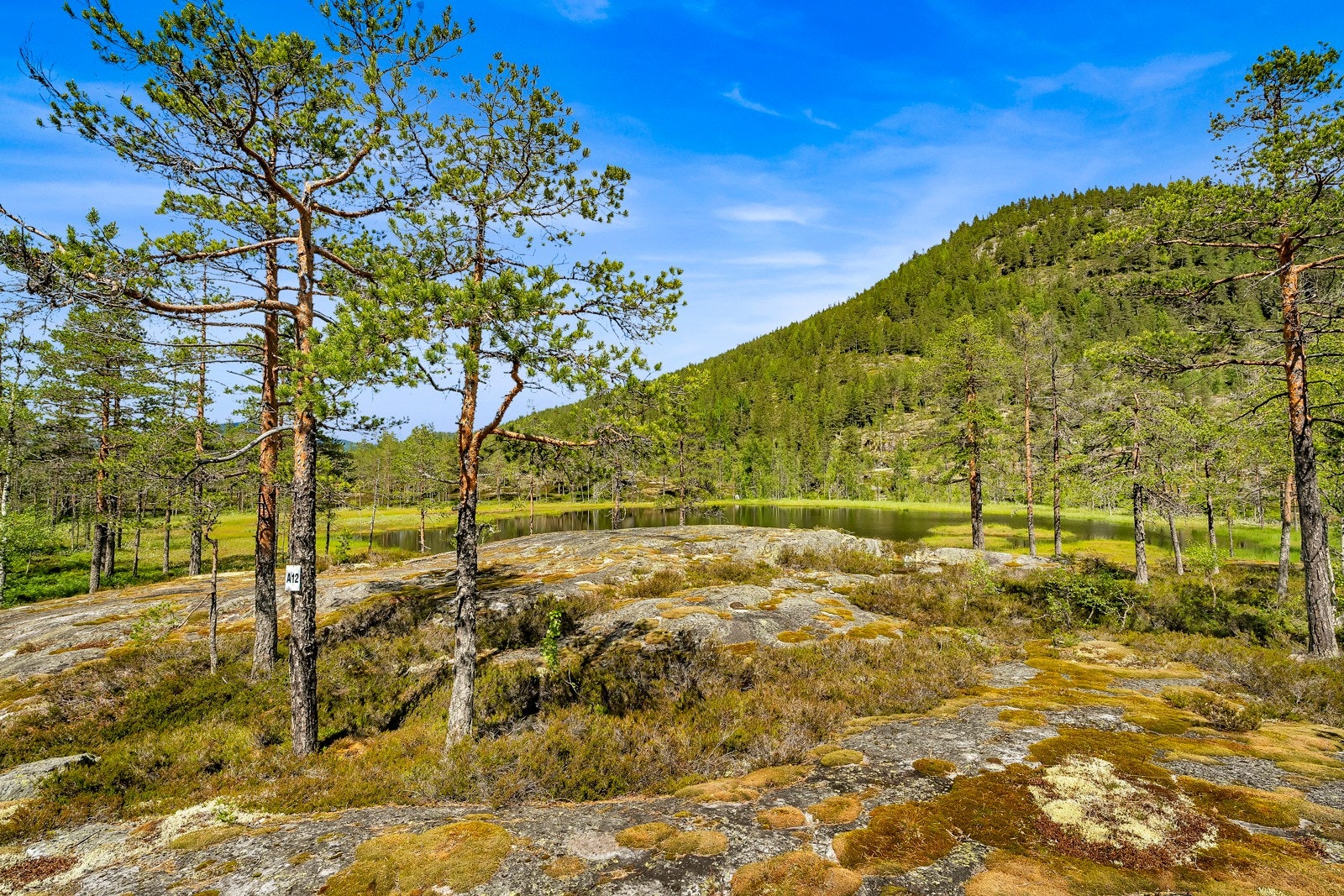 En av tomtene på Vigård med en svært god intern beliggenhet Galleribilde