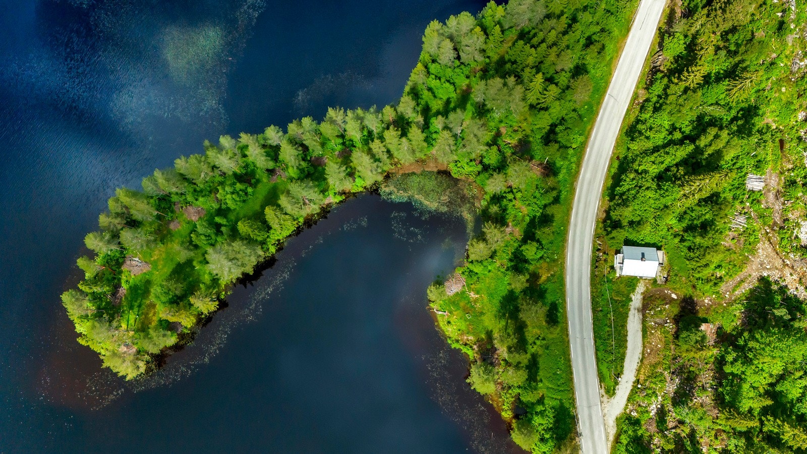 Egen halvøy ut i Sønnlandsvatnet Galleribilde