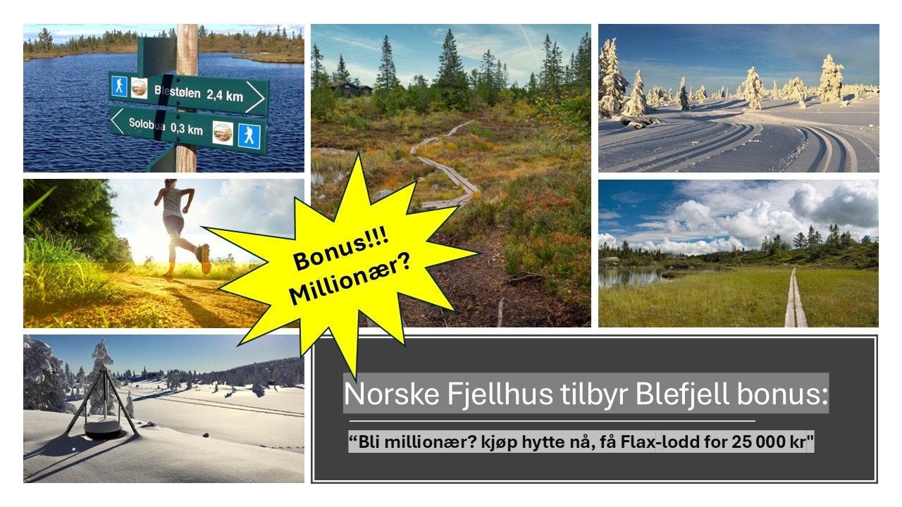 Bonus ved kjøp av hytte Galleribilde