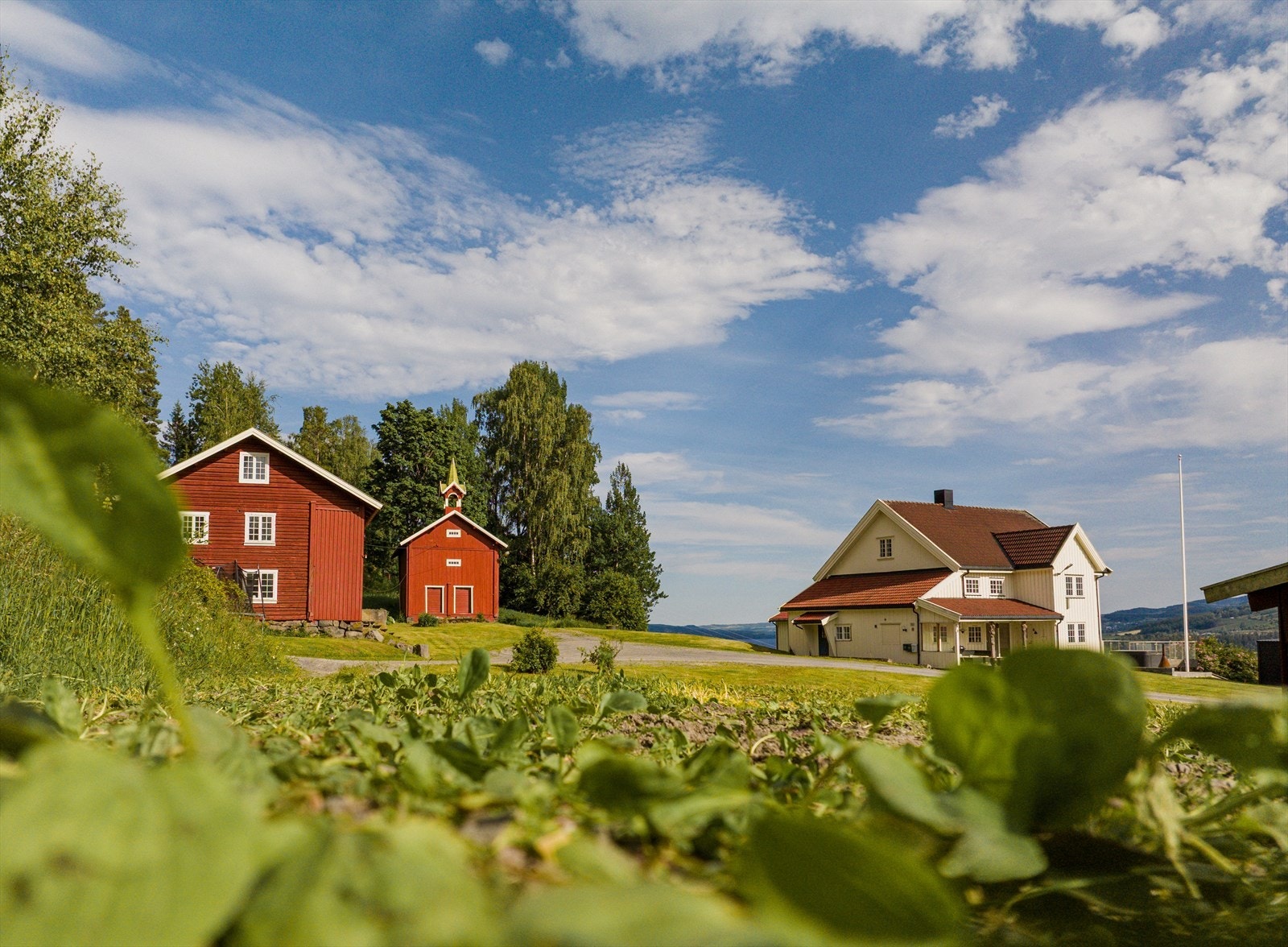 Tunet ligger i luftlinje ca. 300 m opp fra Mjøsstranda. Det er kort avstand både til Moelv og til Lillehammer Galleribilde