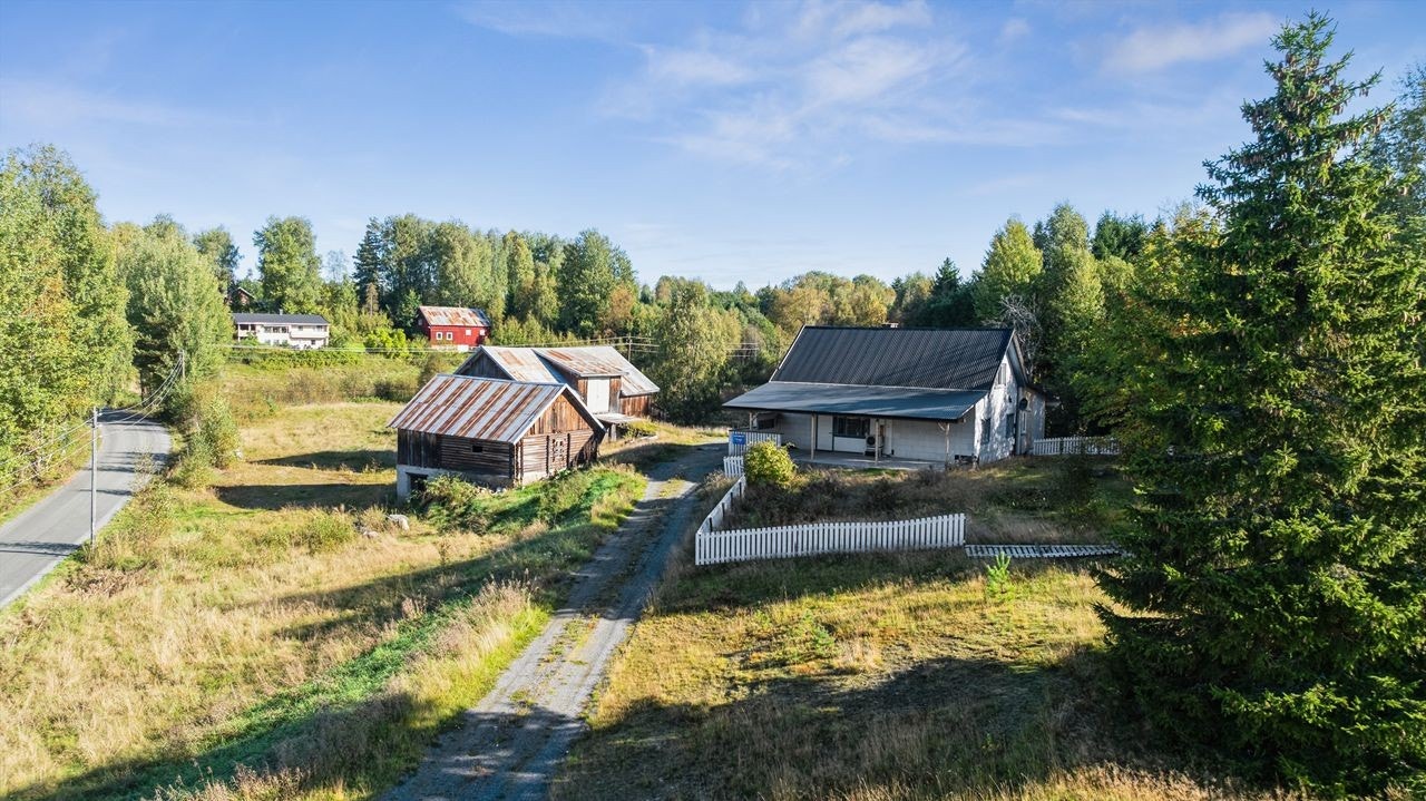 Velkommen til Furuknappen 284. Galleribilde